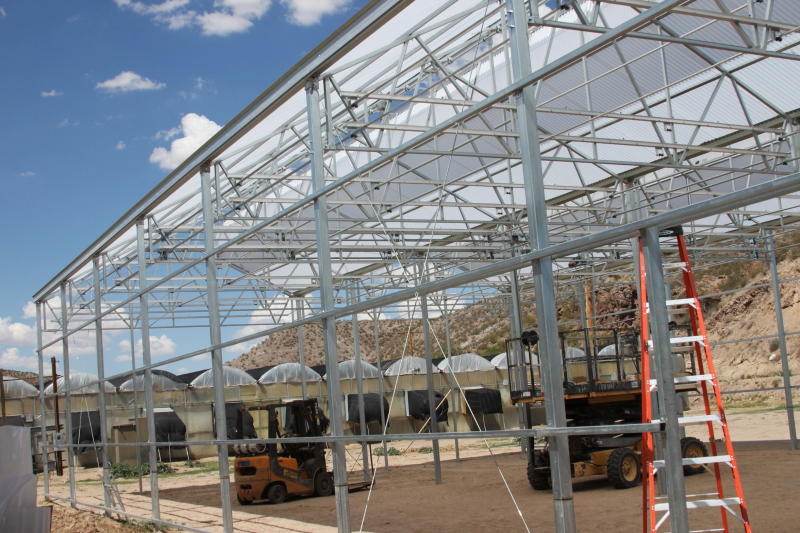Gallery Masson Farms_crops008 Masson Farms Of New Mexico