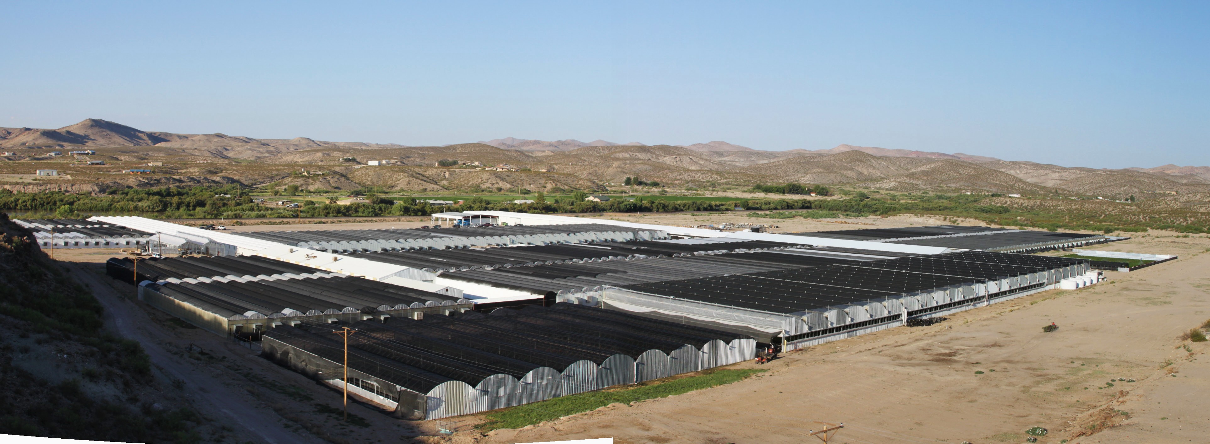 Masson Farms Of New Mexico3 Masson Farms Of New Mexico