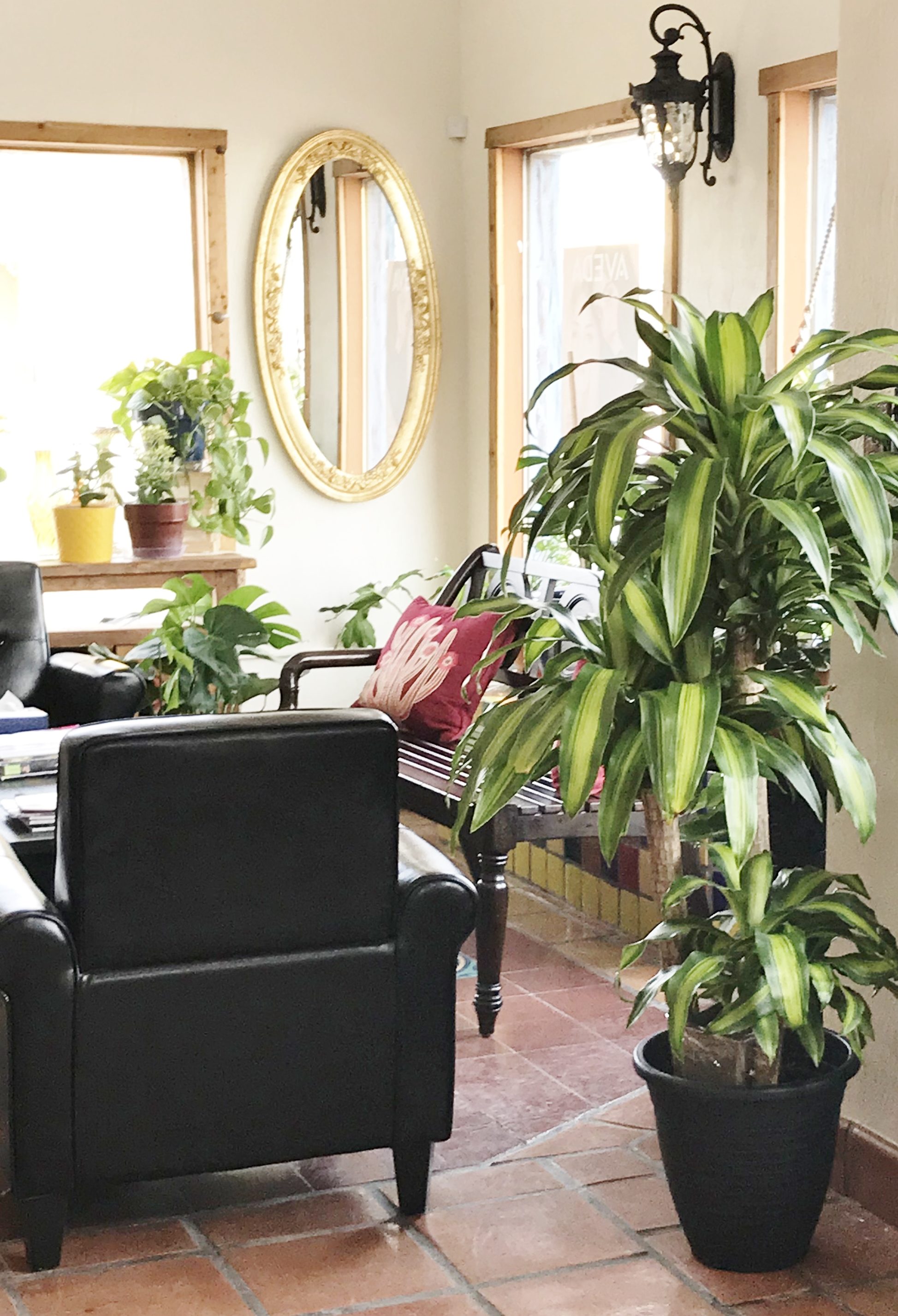 crop5377194728520IMG_08911.jpg Masson Farms Of New Mexico